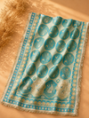 Aqua Blue Tissue Shimmer Suit Set